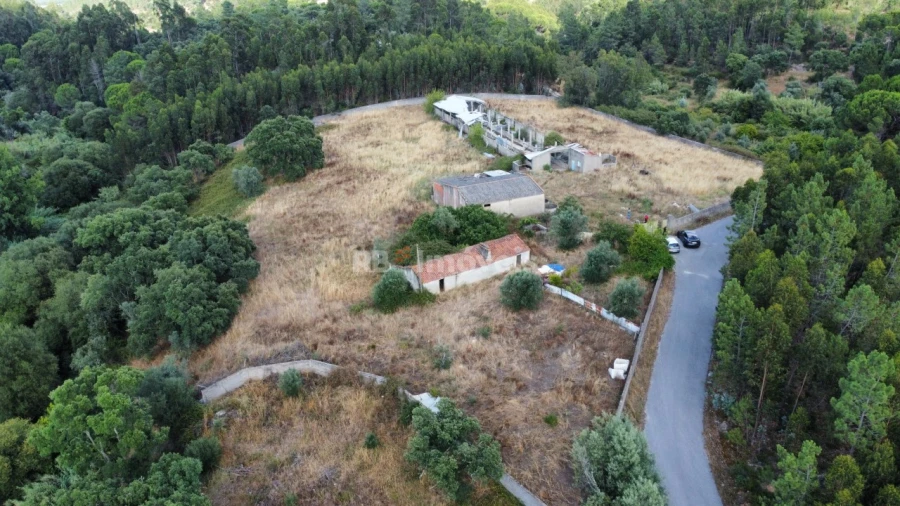 Quinta para Venda em Santa Margarida da Coutada Foto 2