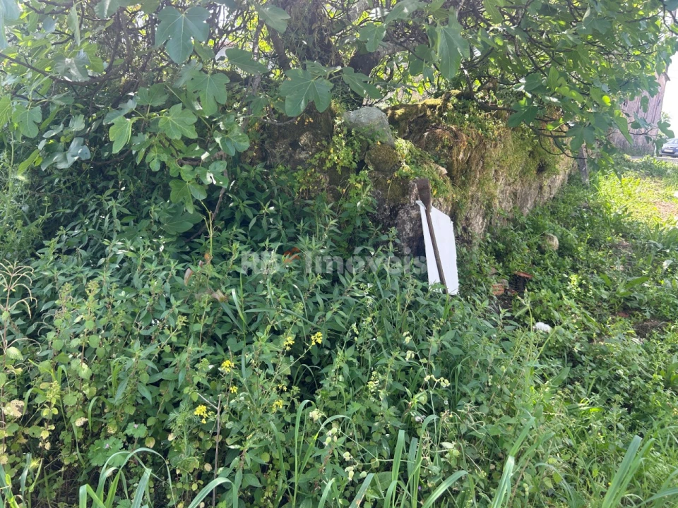 Terreno para Venda em Assentiz Foto 3