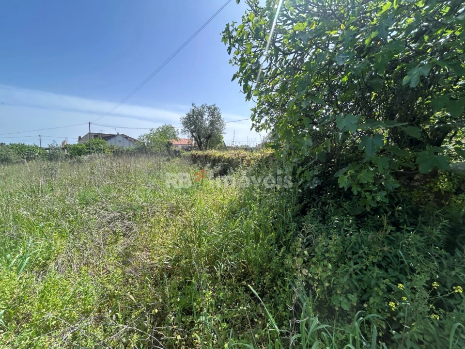 Terreno para Venda em Assentiz Foto 5