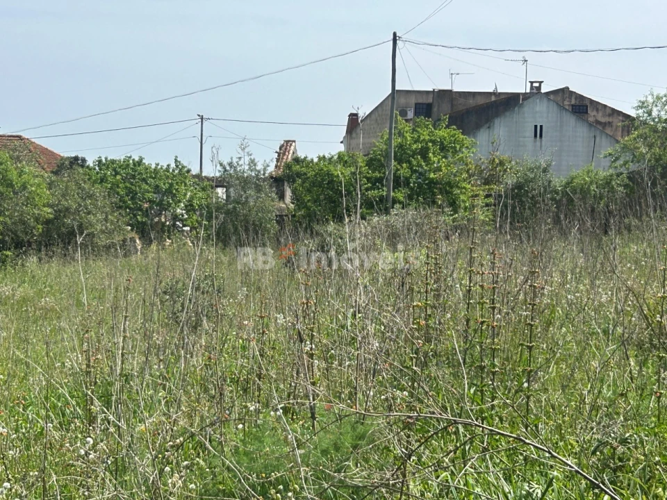 Terreno para Venda em Assentiz Foto 6