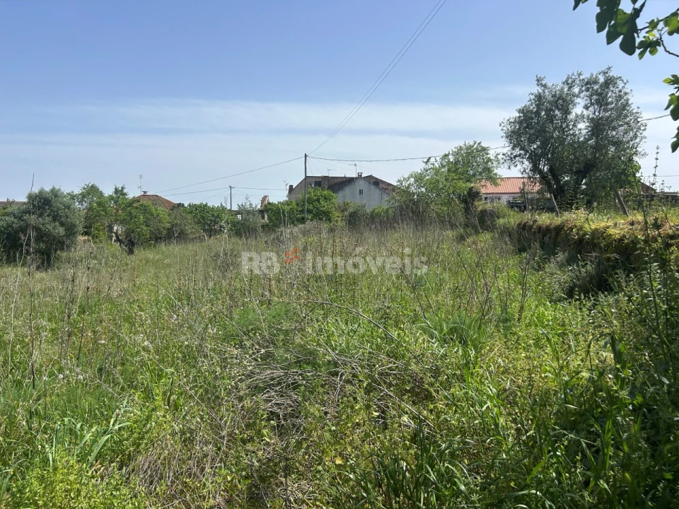 Terreno para Venda em Assentiz Foto 10