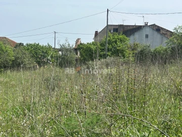 Terreno para Venda em Assentiz