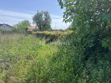 Terreno para Venda em Assentiz