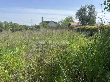 Terreno para Venda em Assentiz