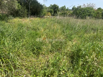 Terreno para Venda em Assentiz