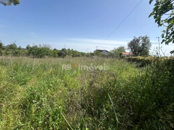 Terreno para Venda em Assentiz