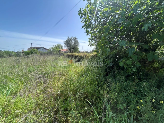 Terreno para Venda em Assentiz Foto 5