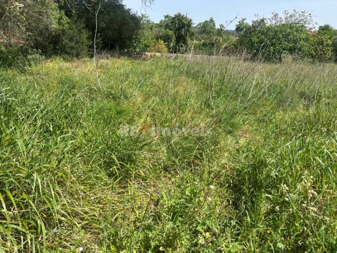 Terreno para Venda em Assentiz Foto 11