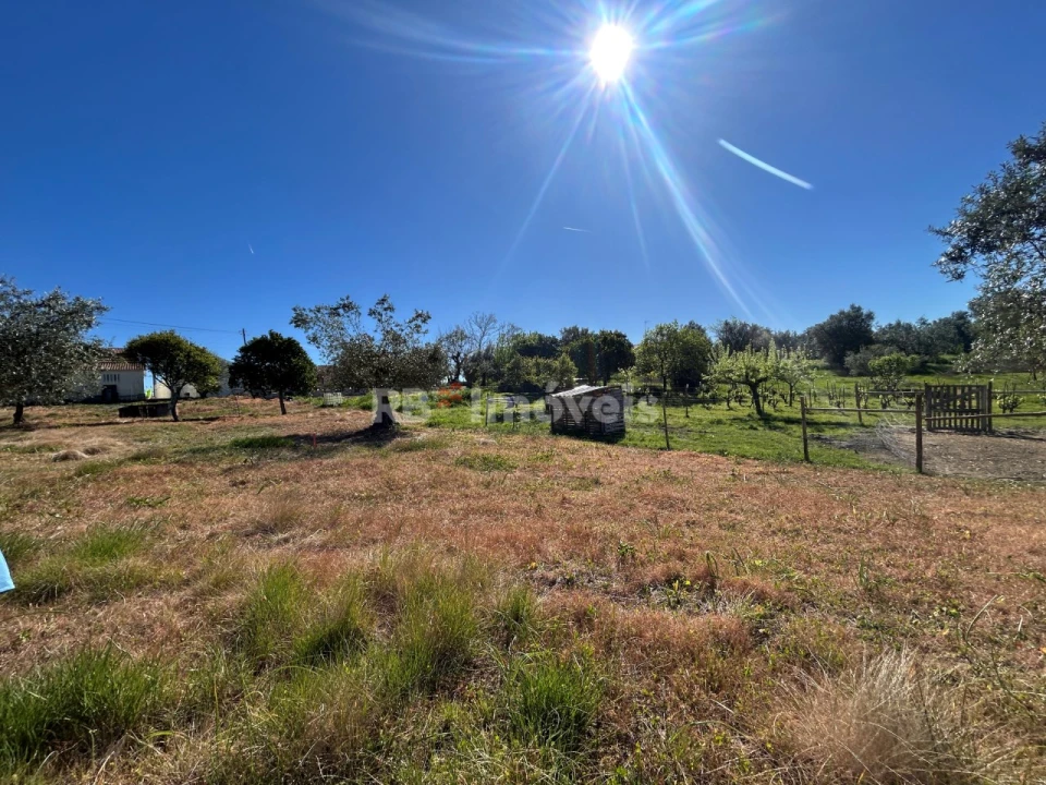 Terreno para Venda em São João Baptista e Santa Maria dos Olivais Foto 1
