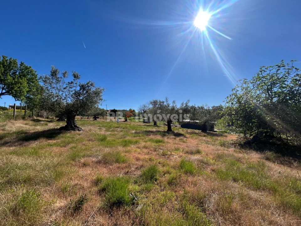 Terreno para Venda em São João Baptista e Santa Maria dos Olivais Foto 7