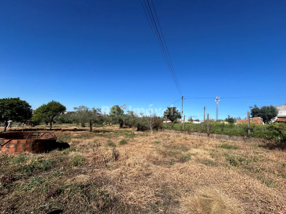Terreno para Venda em São João Baptista e Santa Maria dos Olivais Foto 12