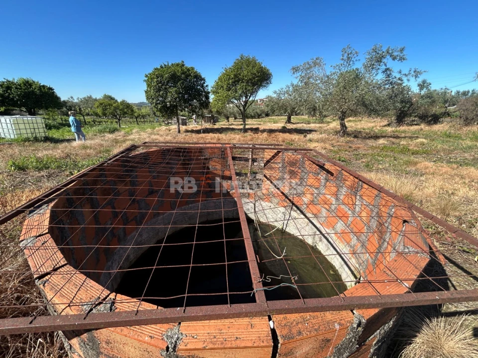 Terreno para Venda em São João Baptista e Santa Maria dos Olivais Foto 13