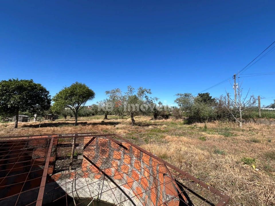 Terreno para Venda em São João Baptista e Santa Maria dos Olivais Foto 14