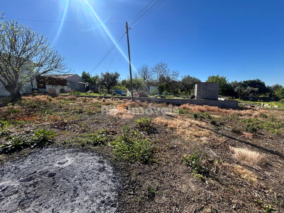 Terreno para Venda em São João Baptista e Santa Maria dos Olivais Foto 15