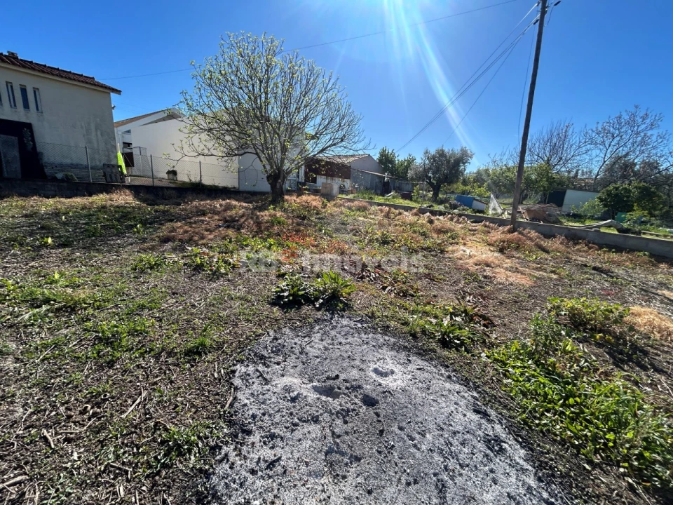 Terreno para Venda em São João Baptista e Santa Maria dos Olivais Foto 16