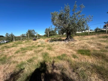 Terreno para Venda em São João Baptista e Santa Maria dos Olivais