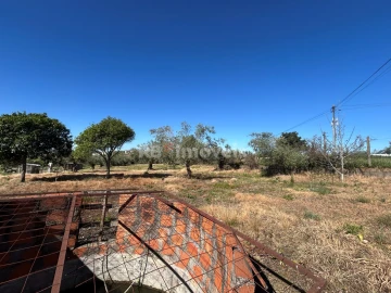 Terreno para Venda em São João Baptista e Santa Maria dos Olivais