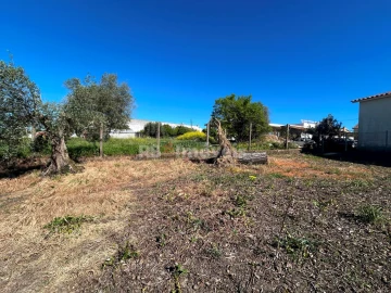 Terreno para Venda em São João Baptista e Santa Maria dos Olivais