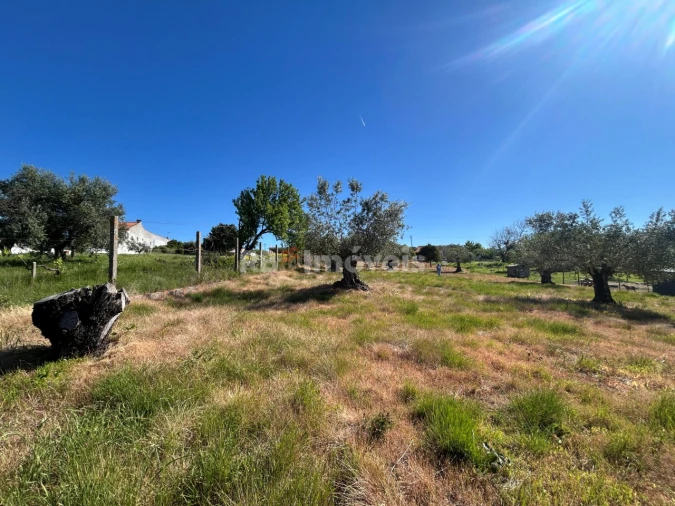 Terreno para Venda em São João Baptista e Santa Maria dos Olivais Foto 9