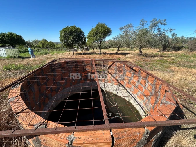 Terreno para Venda em São João Baptista e Santa Maria dos Olivais Foto 13