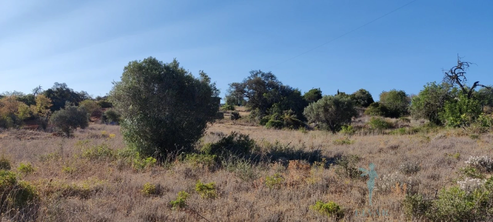 Terreno para Venda em Quelfes Foto 10