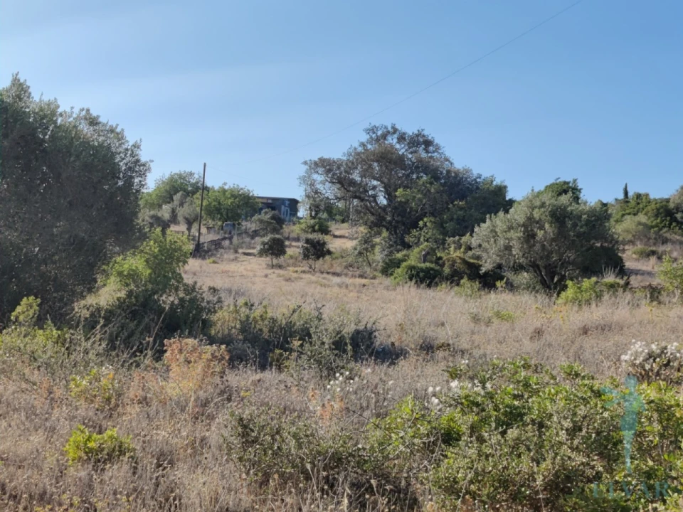 Terreno para Venda em Quelfes Foto 11