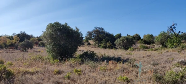 Terreno para Venda em Quelfes