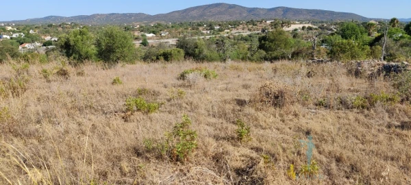 Terreno para Venda em Quelfes