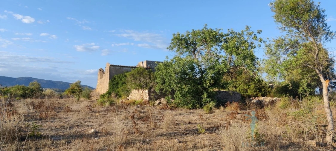 Terreno para Venda em Quelfes Foto 6