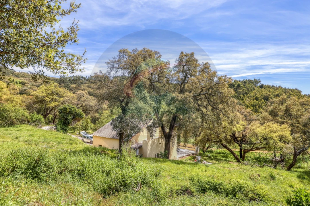 Moradia T3 para Venda em Marmelete Foto 7