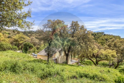 Moradia T3 para Venda em Marmelete