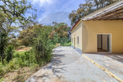 Moradia T3 para Venda em Marmelete