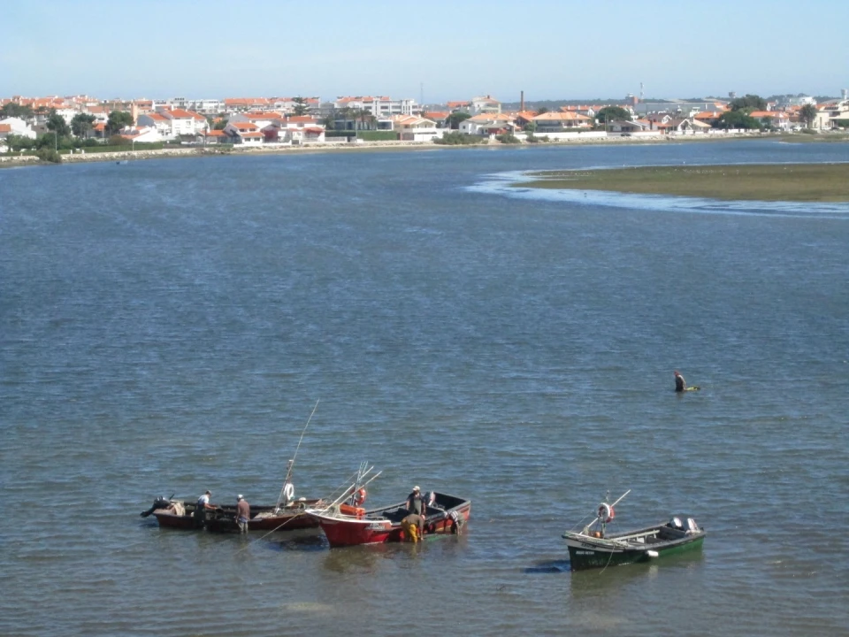 Apartamento T2 para Arrendamento em Gafanha da Nazaré Foto 21