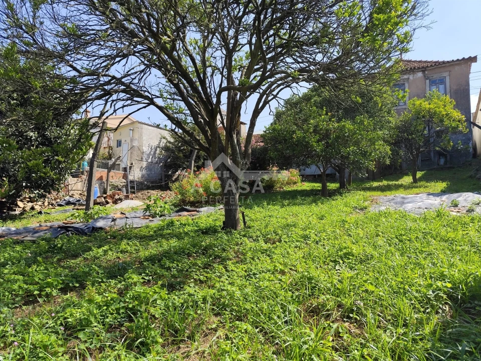 Moradia T3 para Venda em Cortegaça Foto 4