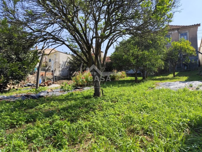 Moradia T3 para Venda em Cortegaça Foto 4