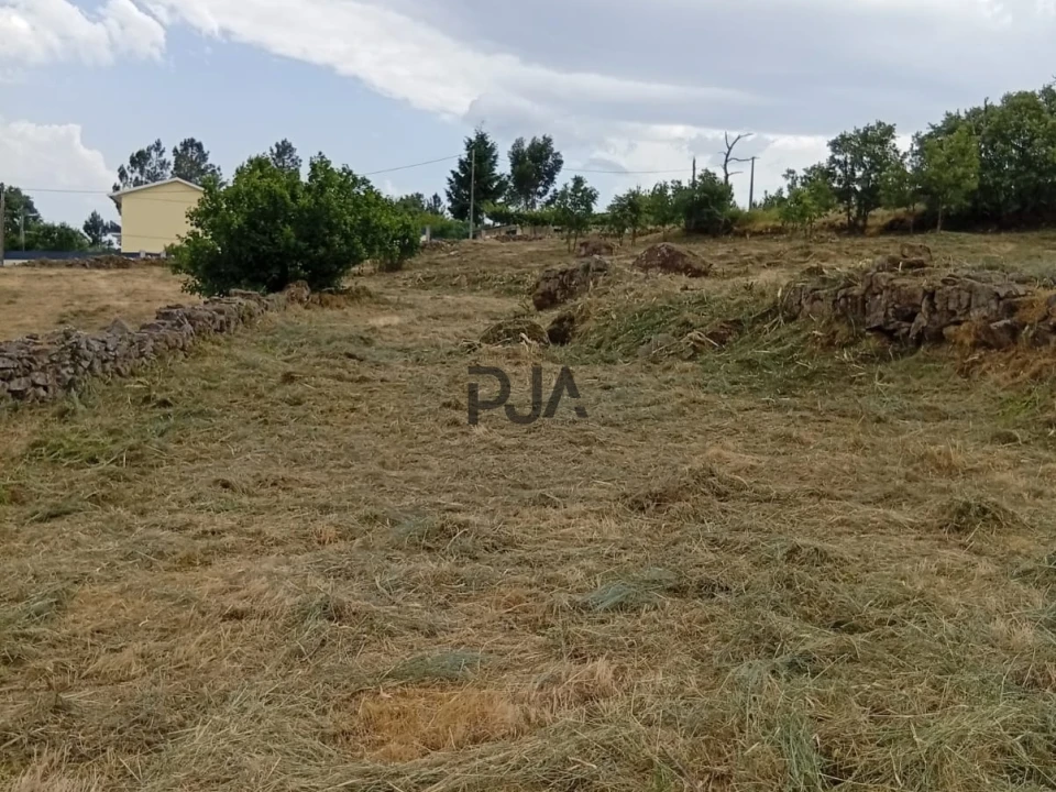 Terreno para Venda em Matança Foto 2