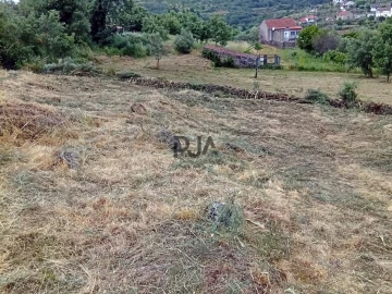 Terreno para Venda em Matança