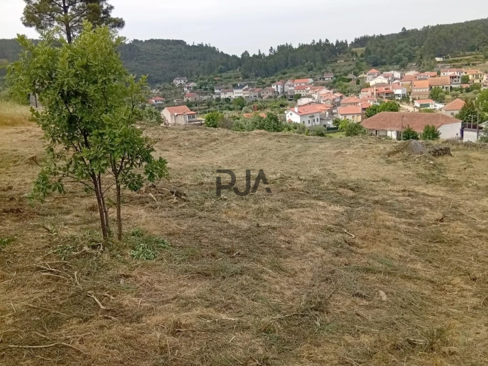 Terreno para Venda em Matança Foto 1