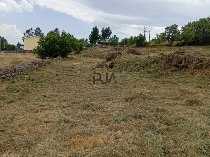 Terreno para Venda em Matança Foto 2