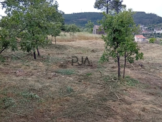 Terreno para Venda em Matança Foto 7