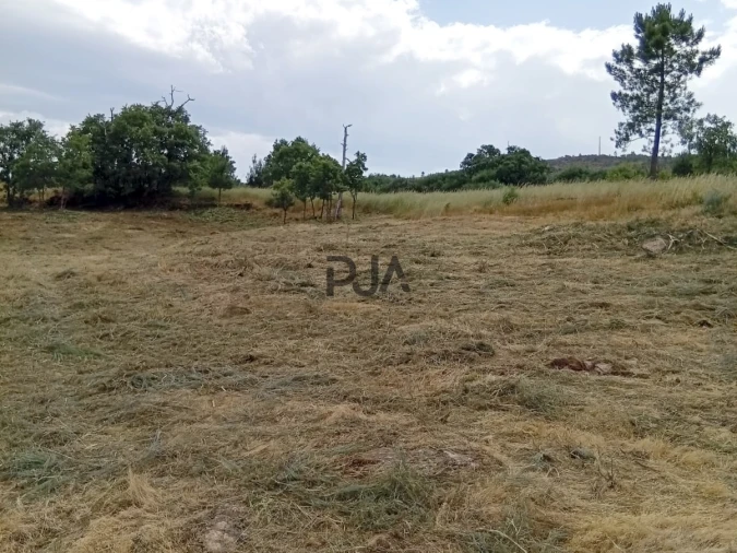 Terreno para Venda em Matança Foto 4