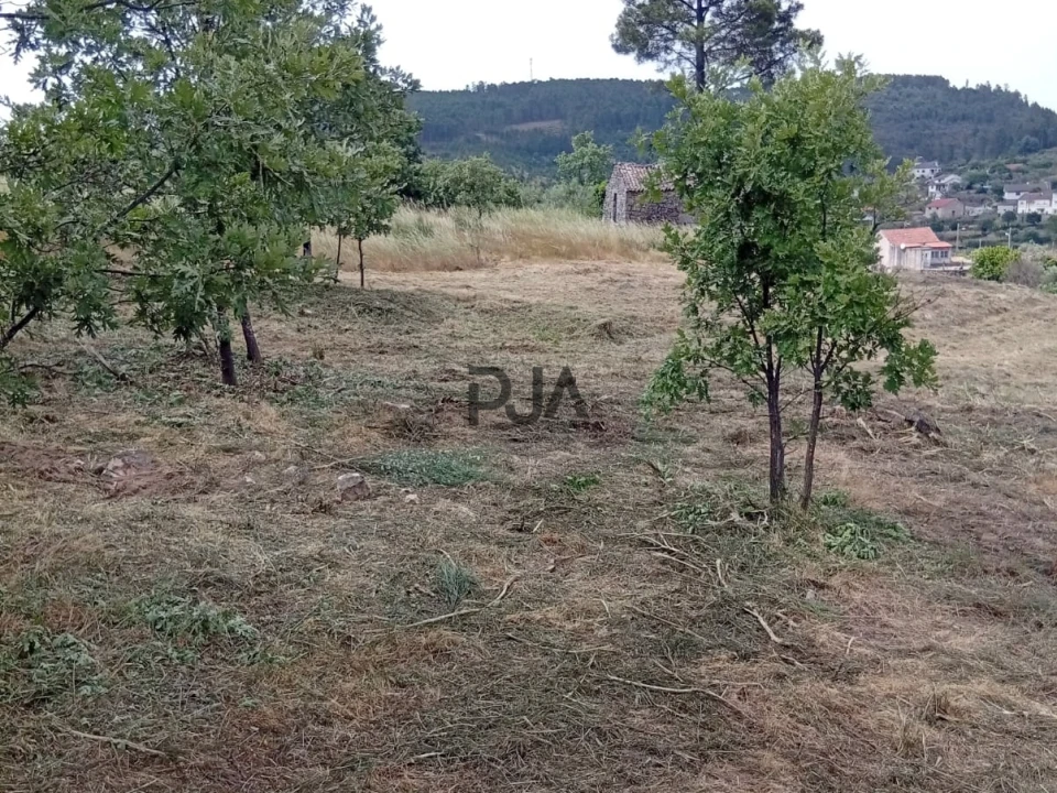 Terreno para Venda em Matança Foto 7