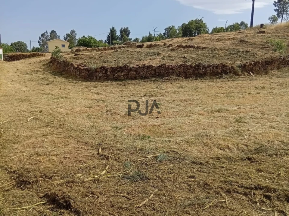 Terreno para Venda em Matança Foto 6