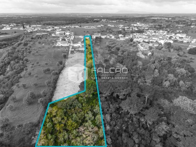 Moradia T3 para Venda em Povoa da Isenta Foto 47