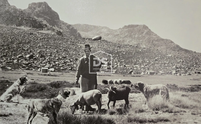 Negócio para Venda em Vale da Amoreira Foto 64