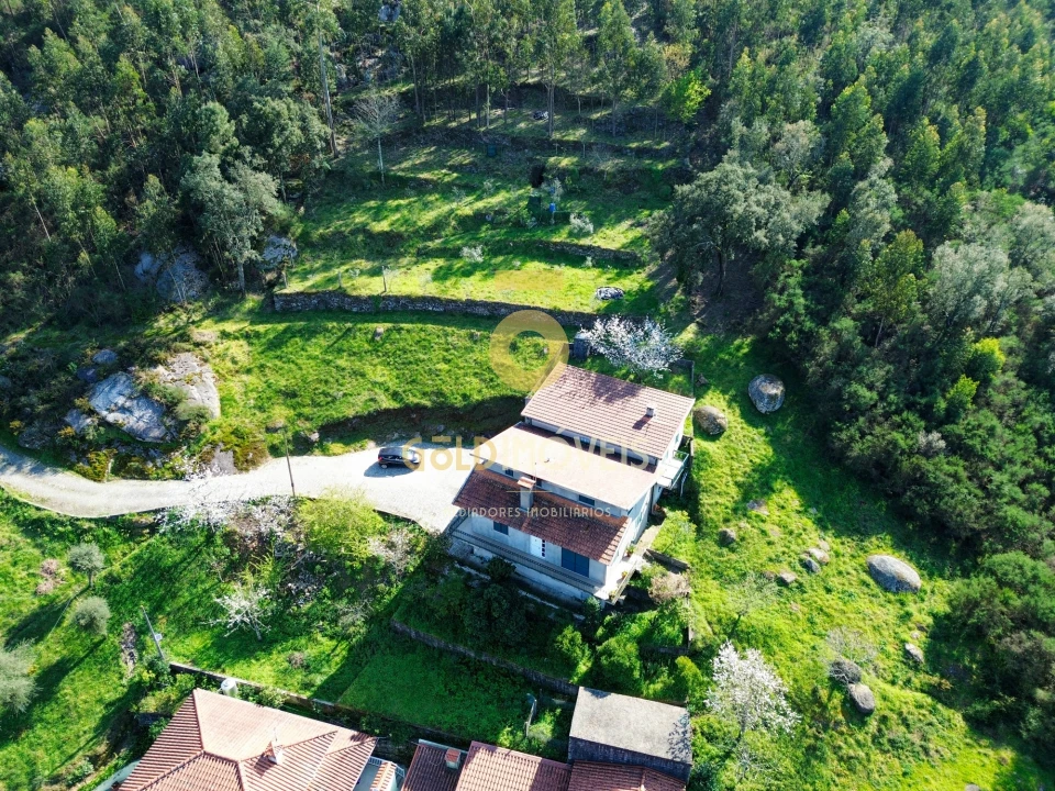 Moradia T4 para Venda em Santa Maria de Sardoura Foto 3