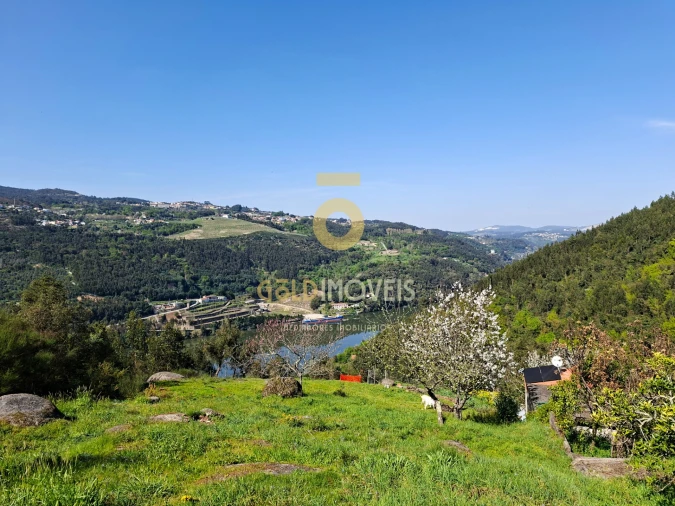 Moradia T4 para Venda em Santa Maria de Sardoura Foto 13