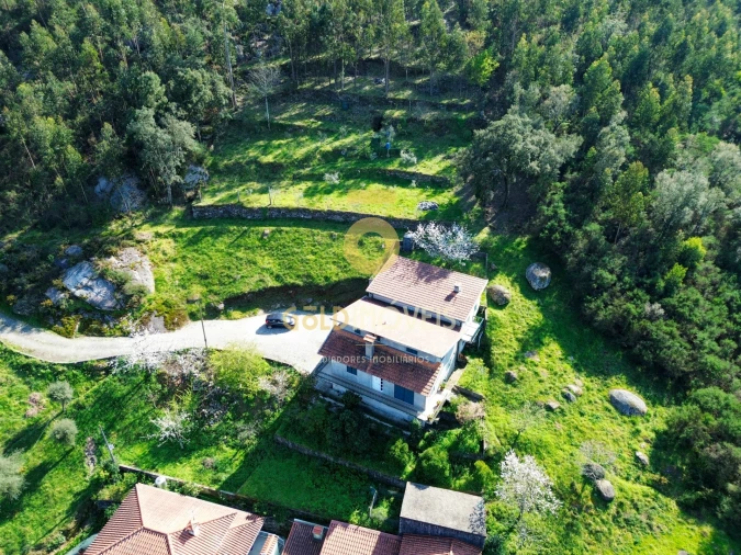 Moradia T4 para Venda em Santa Maria de Sardoura Foto 3