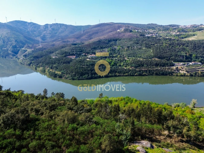 Moradia T4 para Venda em Santa Maria de Sardoura Foto 10