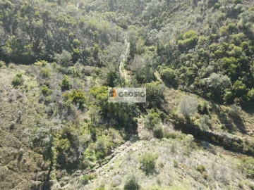 Quinta T2 para Venda em São Barnabe